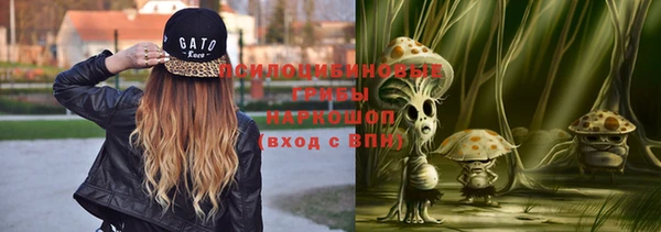 ешки Богданович