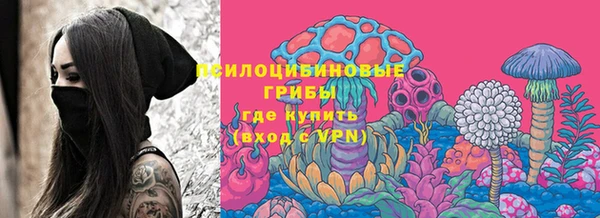 не бодяженный Богородицк