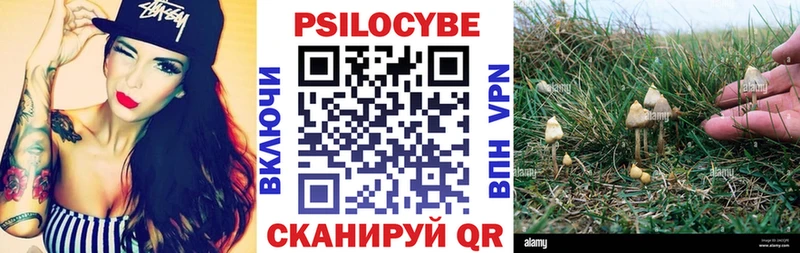 ссылка на мегу как войти  Пересвет  Псилоцибиновые грибы ЛСД 